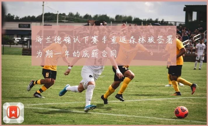 海兰德确认下赛季重返森林狼签署为期一年的底薪合同